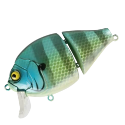 Boogie Back -go fishing BoogieBackBluegill