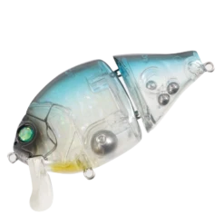 Boogie Back -go fishing BoogieBackDarnameModule