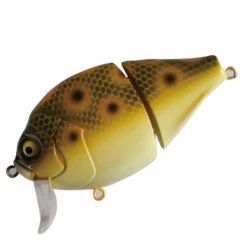 Boogie Back -go fishing BoogieBackJay