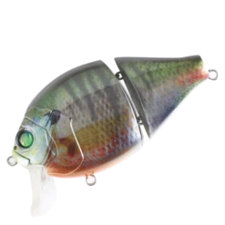 Boogie Back -go fishing BoogieBackKonkatsuMale