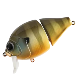 Boogie Back -go fishing BoogieBackOsaumiGill