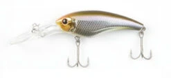 ISM Closer 55F -go fishing CLoser 55 Wakasagi