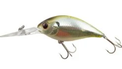 CR-8 Crankbaits -go fishing CR 10HalfMirrorSHad 3cb79dd3 ef18 43f0 b6eb 609b2530397d