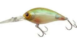 CR-6 Crankbaits 26 CR-6 Crankbaits -go fishing CR 10SkeletonWakasagi 72efb70e 4758 40c9 9240 8bae9ee8b322