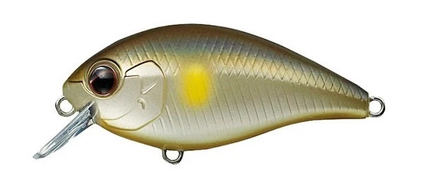 CR-2 Crankbaits 1 CR-2 Crankbaits