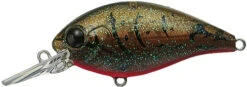 CR-6 Crankbaits 19 CR-6 Crankbaits -go fishing CR6 Olive Craw