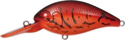 CR-8 Crankbaits -go fishing CR8 Fire Craw
