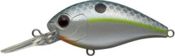 CR-8 Crankbaits -go fishing CR8 Queen Shad 1