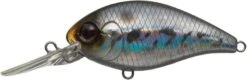 CR-8 Crankbaits -go fishing CRHologramWakasagi