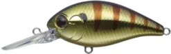 CR-8 Crankbaits -go fishing CROkGold