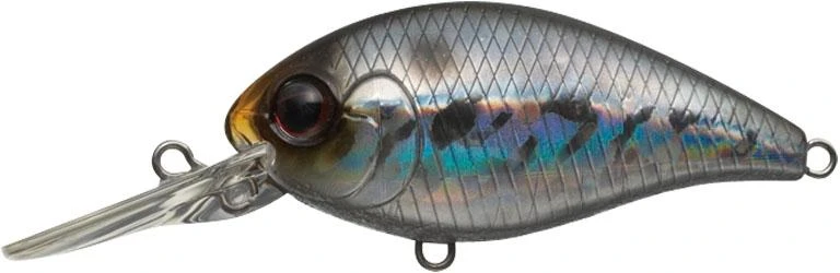 CR-6 Crankbaits 12 CR-6 Crankbaits - Image 12