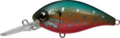 CR-6 Crankbaits 25 CR-6 Crankbaits -go fishing CR Pumpkinseed