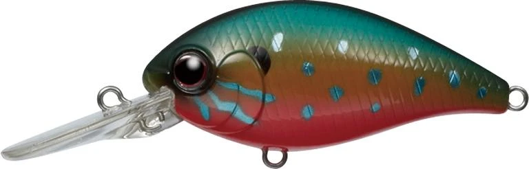 CR-6 Crankbaits 10 CR-6 Crankbaits - Image 10