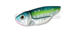 Circuit Vibe -go fishing CircuitVibe SexyShad600 2