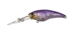ISM Closer 55F -go fishing Closer Puple Wakasagi