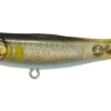 Megabass Dog-X Jr Coayu