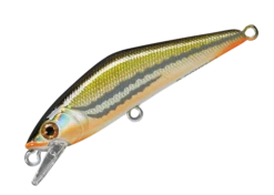 D-Contact 50 -go fishing DContactDace 31