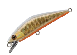 D-Contact 50 -go fishing DContactGoldWhite 27