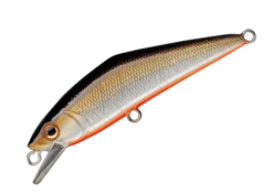 D-Contact 50 -go fishing DContactTSLazer 07