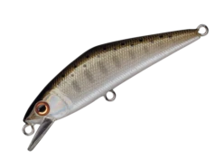 D-Contact 50 -go fishing DContactYamame 03