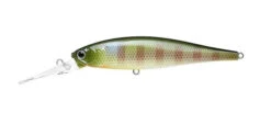 Lucky Craft Pointer 100DD -go fishing DD BE Gill