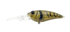 Tactical DD Crank -go fishing DD GreenPumpkin Craw