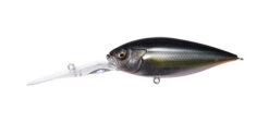 Megabass Deep Six 34 Megabass Deep Six -go fishing Deep6 Jukucho