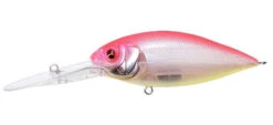 Megabass Deep-X 300 -go fishing DeepX300 JukuchoPink600