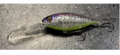 Megabass Deep Six 27 Megabass Deep Six -go fishing Deep 6 Elegy Bone