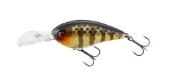 Jackall Digle 3 Plus -go fishing Digle Champagne Gold 2