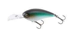Jackall Digle 3 Plus -go fishing Digle Dark Thunder 1