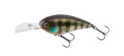 Jackall Digle 3 Plus -go fishing Digle Jakko Gill 1