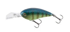Jackall Digle 4 Plus -go fishing Digle Sprout Gill 3