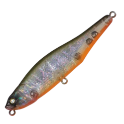 Drivin' Wire 22 Drivin' Wire -go fishing DirivngWire005BurningBelly