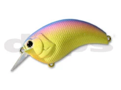 Evoke 1.2 -go fishing Evoke Rainbow