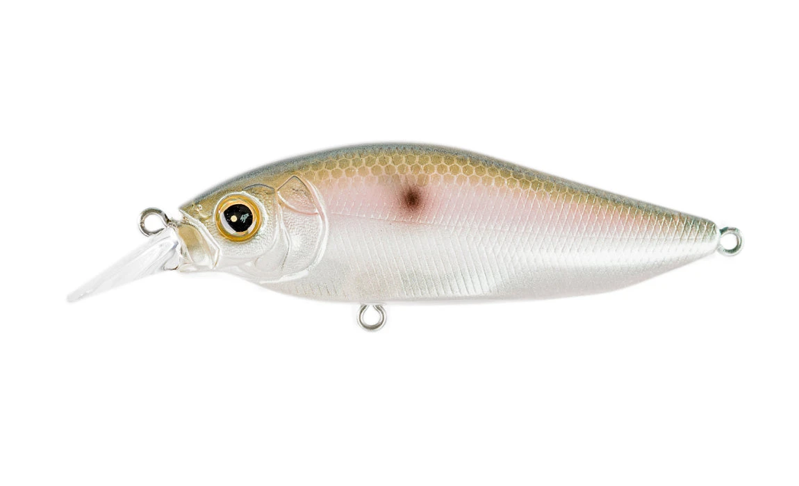 Megabass Flap Slap 8 Megabass Flap Slap - Image 8