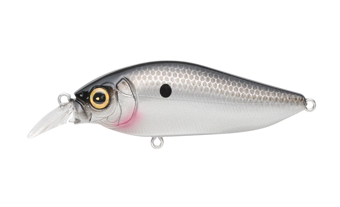 Megabass Flap Slap 10 Megabass Flap Slap - Image 10