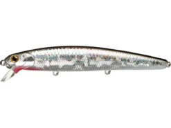 Lucky Craft Flash Minnow 110SP -go fishing FPMSAnchovy