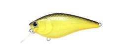 Lucky Craft Fat CB BDS 3 -go fishing Fat CB BDS 3 TO CHart