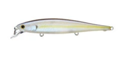 Lucky Craft Flash Pointer -go fishing Flash Pointer CHartreuse Shad
