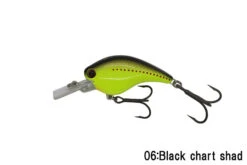 RC Flat Shad