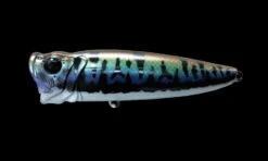 Funter -go fishing FunterToman