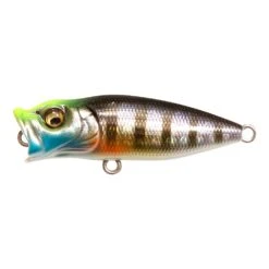 Megabass Baby Pop-X BFS -go fishing GGWildGill