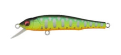 Megabass Great Hunting 70 Flatside -go fishing GH70 Mark mat Tiger