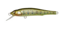 Megabass Great Hunting 70 Flatside -go fishing GH70 Takumi Kawamasu