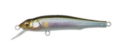 Megabass Great Hunting 70 Flatside -go fishing GH70 Takumi Setsuki Ayu