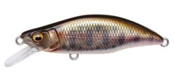 Megabass Great Hunting Humpback -go fishing GHHumpback TakumiYamame 600 1