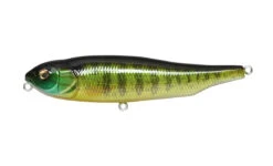 Megabass Giant Dog X -go fishing GIANTDOG X PUMPKINSEED