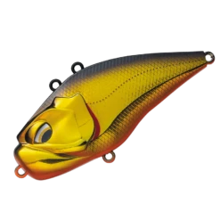 Giganoto -go fishing GIGANOTO1