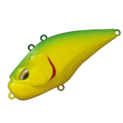 Giganoto -go fishing GIGANOTO3